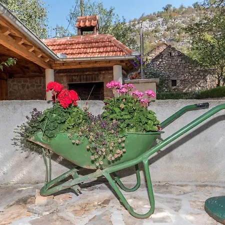 House Ivaneza